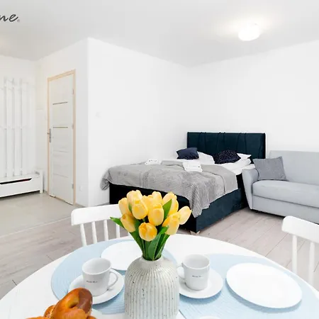 Wonder - Z Widokiem Na Góry, Blisko Wyciągów, Szlaków Turystycznych I Restauracji Apartamento *